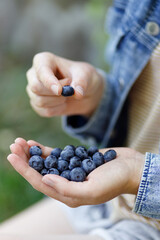 A handful of ripe blueberries, eat summer berries.