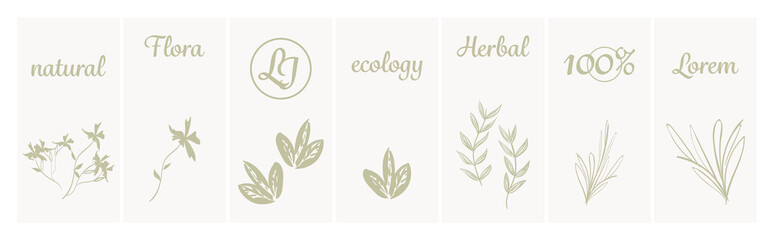 Green herbal collection. herbal supplements icons elements. Vector illustration.