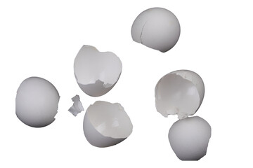 cracked eggshells isolated