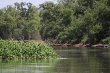 R&iacute;o Paran&aacute;