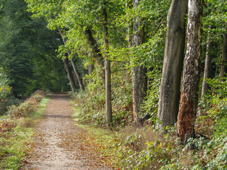 Wandern an der Berkel bei Vreden im Münsterland
