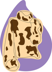 Vector casual sweater. Colorful sweater. Autumn style