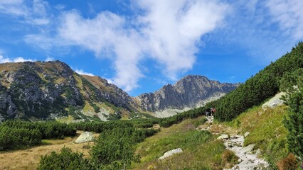Fototapeta na wymiar Landcape from High Tatra mountains, Slovakia, TANAP