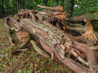 Wandern an der Berkel bei Vreden im Münsterland