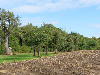 Obraz premium Wandern an der Berkel bei Vreden im Münsterland