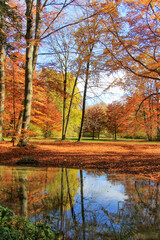 Fototapeta premium Autumn landscape of beautiful colorful trees reflected in water. Beautiful autumn background.