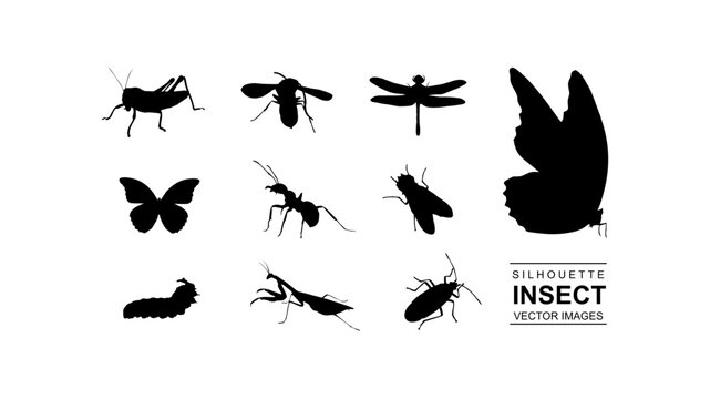 silhouette insect vector set