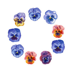 Pansy flowers watercolor round frame. Floral frame with pansies isolated. Greeting card template. Design, wedding invitation. Wreath of pansy flowers. stock illustration.