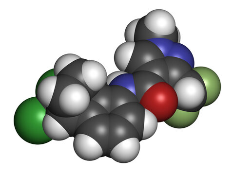 Benzovindiflupyr fungicide molecule, 3D rendering.