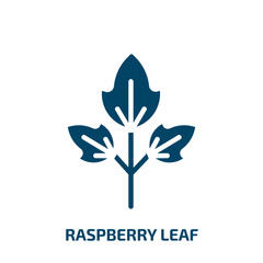 raspberry leaf icon from food collection. Filled raspberry leaf, natural, fruit glyph icons isolated on white background. Black vector raspberry leaf sign, symbol for web design and mobile apps