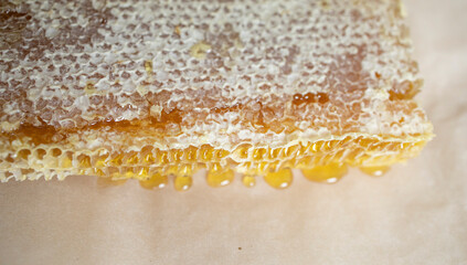 honeycombs with honey close-up, on craft paper, on the table, in the room. Collection of honey....