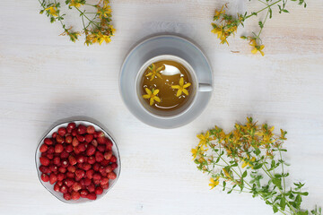 Herbal tea from St. John's wort. St. John's wort medicinal plant