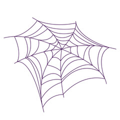 Fototapeta premium vector illustration of lacy spider web