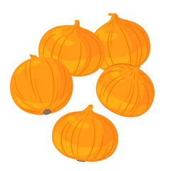 野菜イラスト　たくさんのタマネギ.