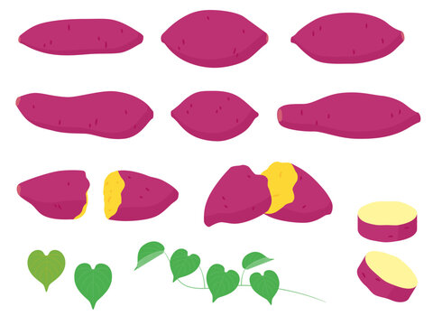 野菜イラスト　バラエティセット　サツマイモ.