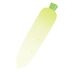 野菜イラスト　葉のないダイコン.
