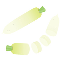 野菜イラスト　ダイコンとその断面.