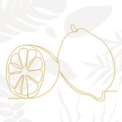 lemons one line drawing, sketch vector