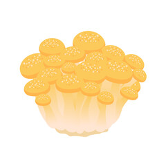 きのこイラスト　シメジ.