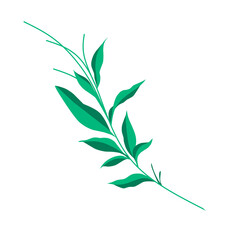 Design png leaf