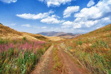 Fototapeta na wymiar Road in armenian countryside at Vayots Dzor Province