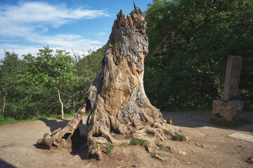 Old tree remains at Haghartsin monastery in Armenia. 