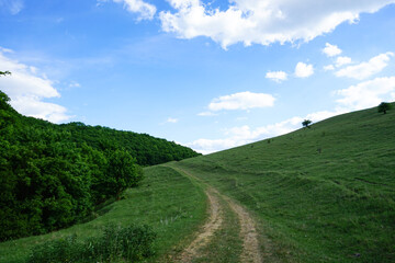Grassy meadows and wooded hills, a beautiful landscape with a ridge of a mountain in the distance under an azure sky.
