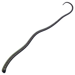 Tentacle CG Illustration with PNG Transparent Background