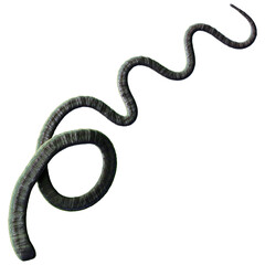 Obraz premium Tentacle CG Illustration with PNG Transparent Background