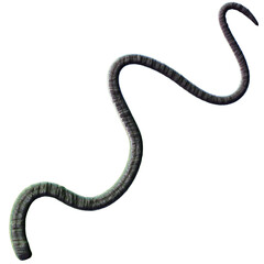 Tentacle CG Illustration with PNG Transparent Background