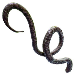 Tentacle CG Illustration with PNG Transparent Background