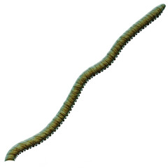 Tentacle CG Illustration with PNG Transparent Background