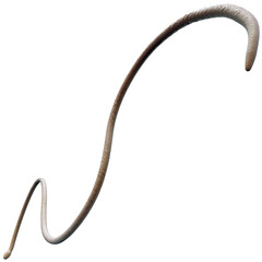 Tentacle CG Illustration with PNG Transparent Background