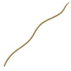 Tentacle CG Illustration with PNG Transparent Background