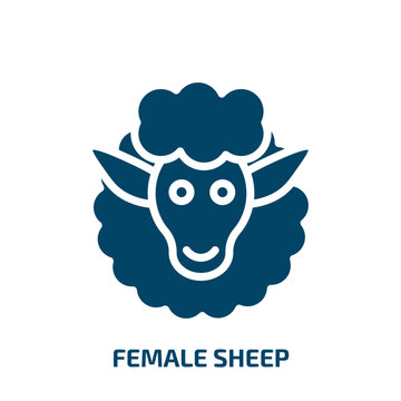 female sheep icon from animals collection. Filled female sheep, female, sheep glyph icons isolated on white background. Black vector female sheep sign, symbol for web design and mobile apps