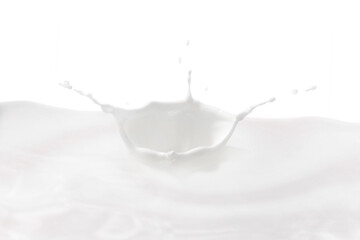 Milk crown splash, splashing in milk pool with white background