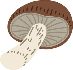doodle freehand sketch drawing of shitake mushroom vegetable.