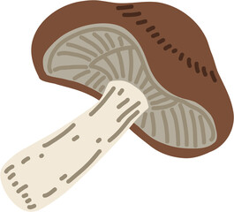 doodle freehand sketch drawing of shitake mushroom vegetable.