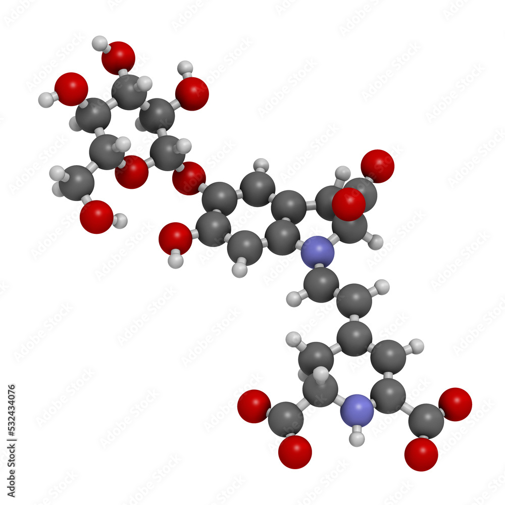 Canvas Prints Betanin or beetrood red plant pigment molecule, 3D rendering.