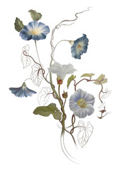 Blue flowers illustration isolated on a white background. Design element.