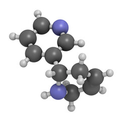 Anatabine alkaloid molecule, 3D rendering.