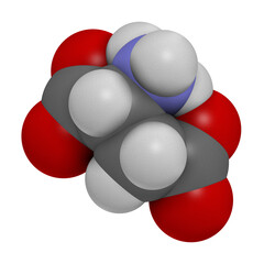 D-aspartic acid (D-aspartate) amino acid molecule, 3D rendering.