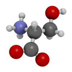 D-serine amino acid molecule. Enantiomer of L-serine, 3D rendering.