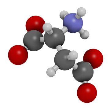 D-aspartic acid (D-aspartate) amino acid molecule, 3D rendering.