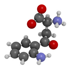 Kynurenine molecule, 3D rendering.