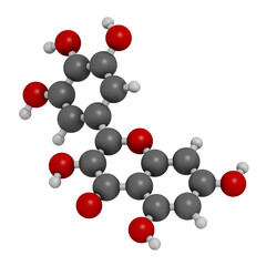 Myricetin flavonoid molecule, 3D rendering.