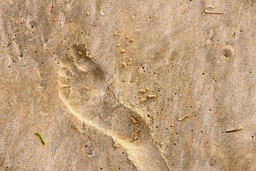 Empreinte de pied en relief dans le sable sur une plage