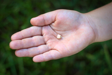 The child holds his fallen tooth in his hand. The first lost milk tooth in the palms of a child. The concept of dentistry and proper care of teeth and oral cavity. Baby teeth and oral care