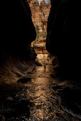 Hiker Stands In The Left Fork Of North Creek