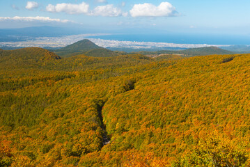 Autumn leaf season in Japan